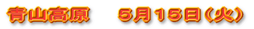 �X�܁E�������͂����炩��