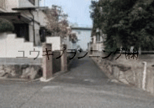 ʐ^